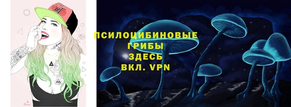 шишки Балахна